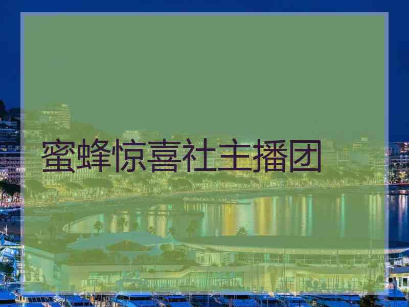 蜜蜂惊喜社主播团 蜜蜂惊喜社主播团
