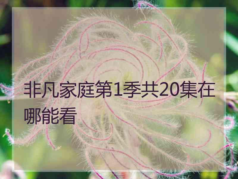 非凡家庭第1季共20集在哪能看 非凡家庭第1季共20集在哪能看