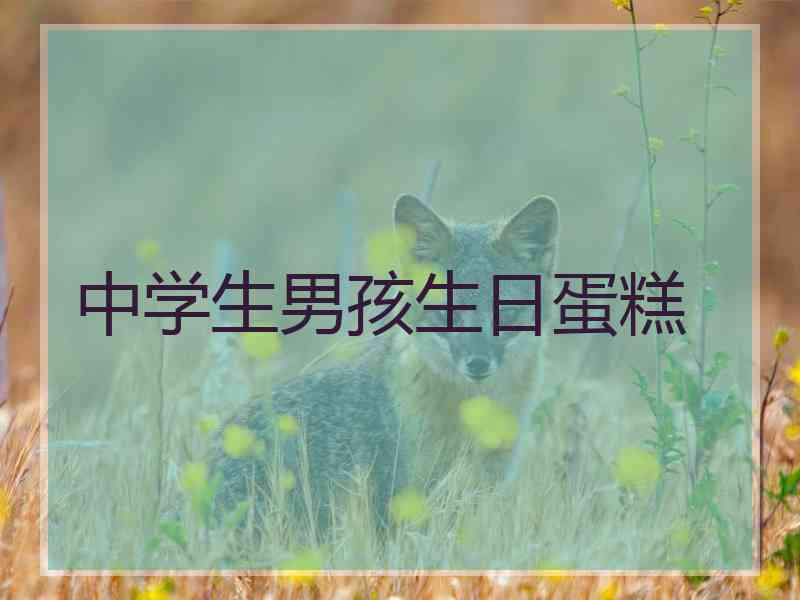 中学生男孩生日蛋糕 中学生男孩生日蛋糕