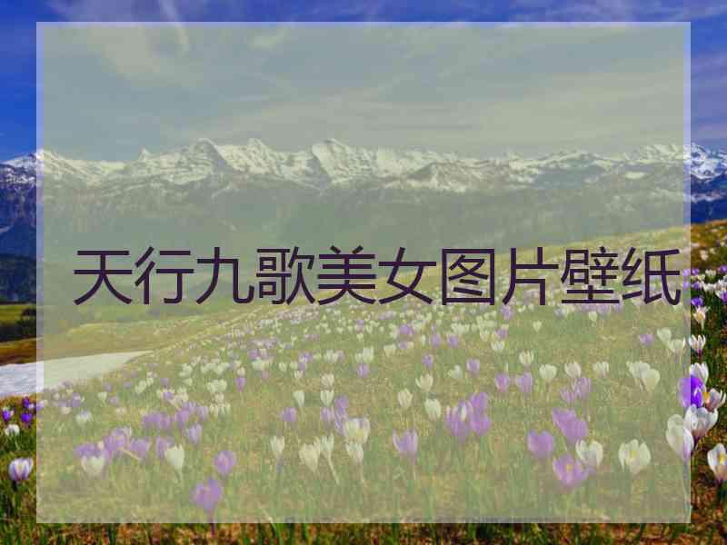 天行九歌美女图片壁纸 天行九歌美女图片壁纸