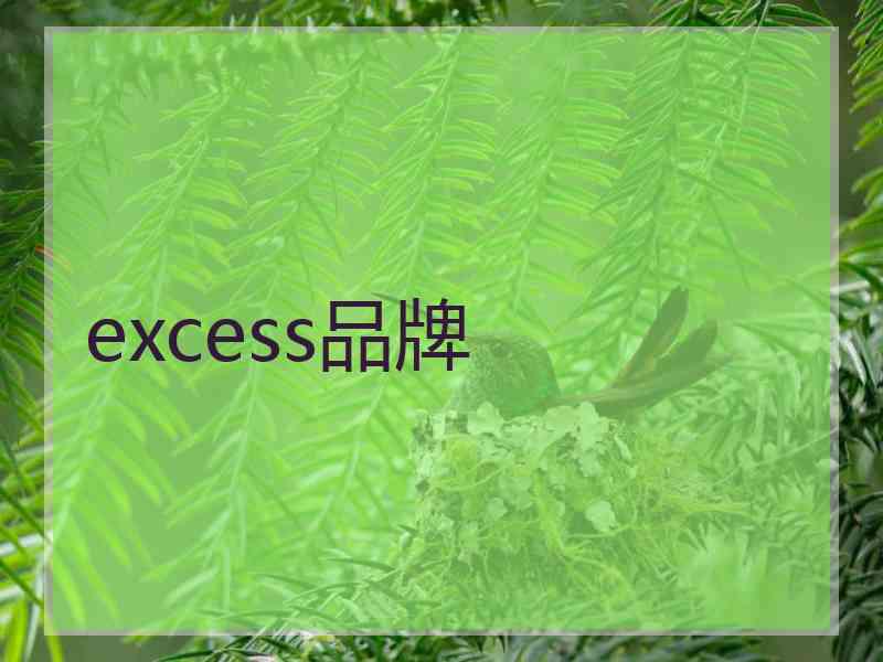excess品牌 excess品牌