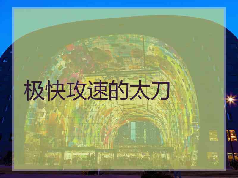 极快攻速的太刀 极快攻速的太刀