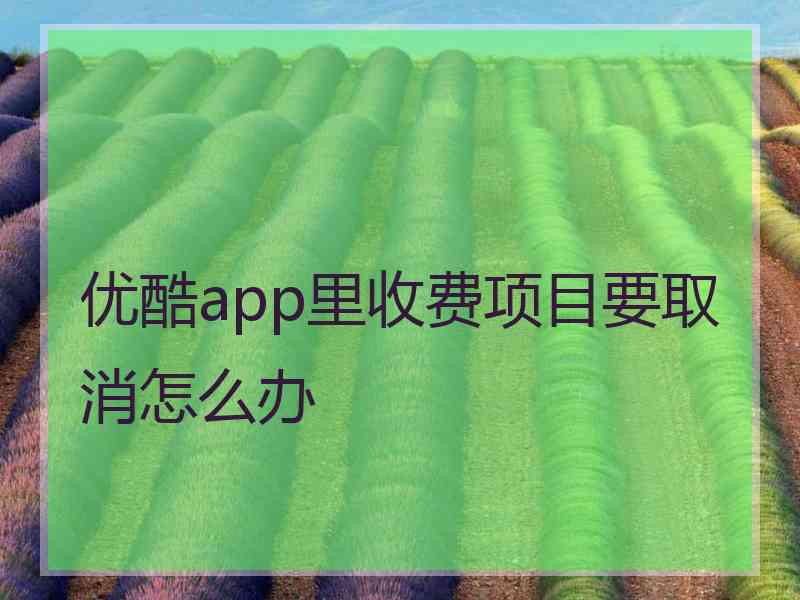 优酷app里收费项目要取消怎么办 优酷app里收费项目要取消怎么办
