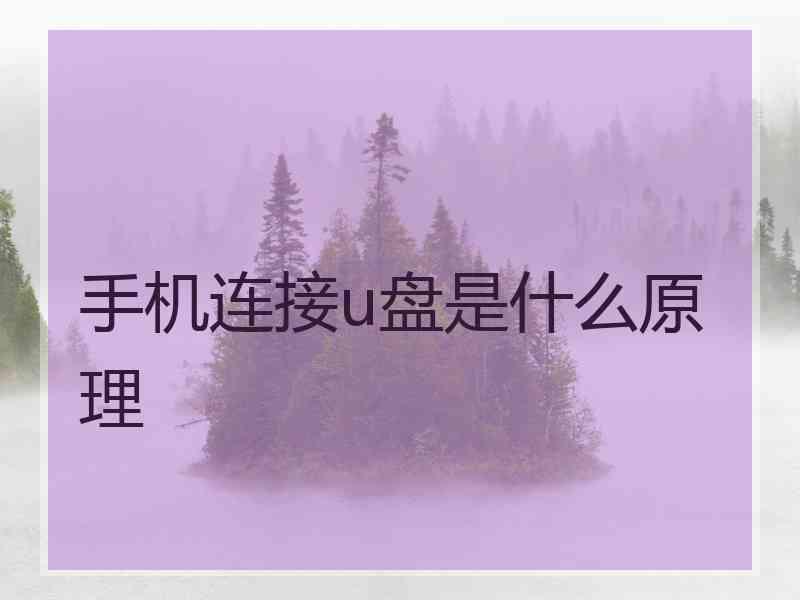 手机连接u盘是什么原理 手机连接u盘是什么原理