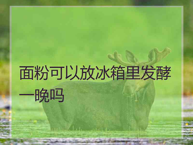面粉可以放冰箱里发酵一晚吗 面粉可以放冰箱里发酵一晚吗