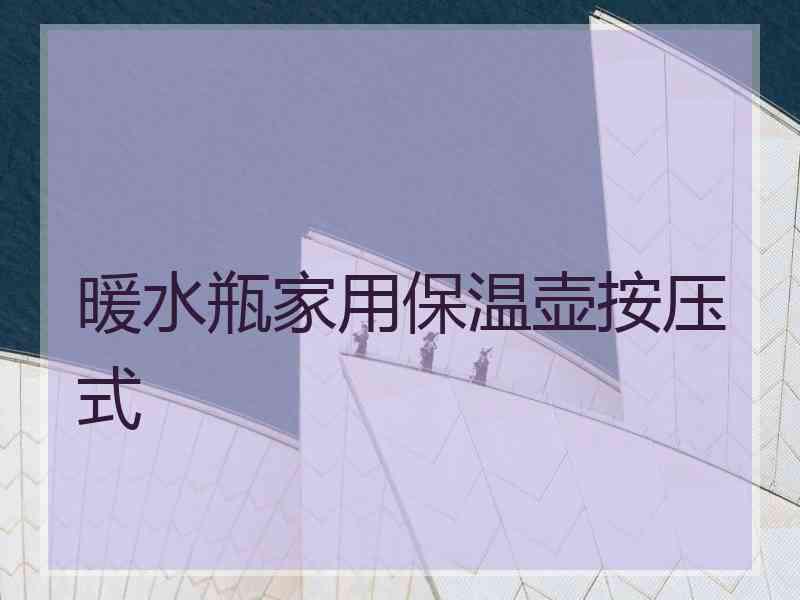 暖水瓶家用保温壶按压式 暖水瓶家用保温壶按压式