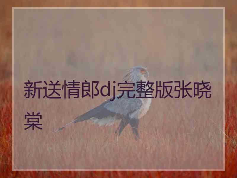 新送情郎dj完整版张晓棠 新送情郎dj完整版张晓棠