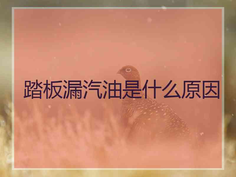 踏板漏汽油是什么原因 踏板漏汽油是什么原因