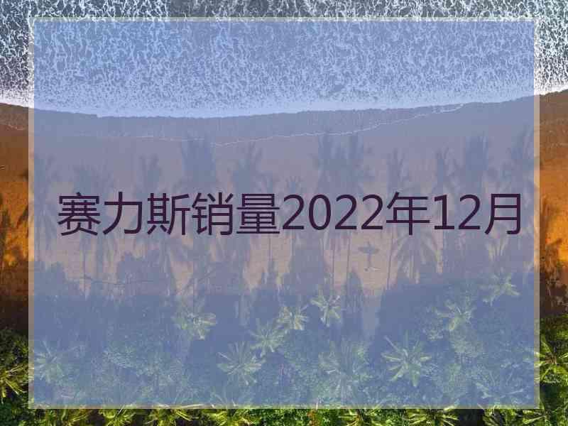 赛力斯销量2022年12月 赛力斯销量2022年12月