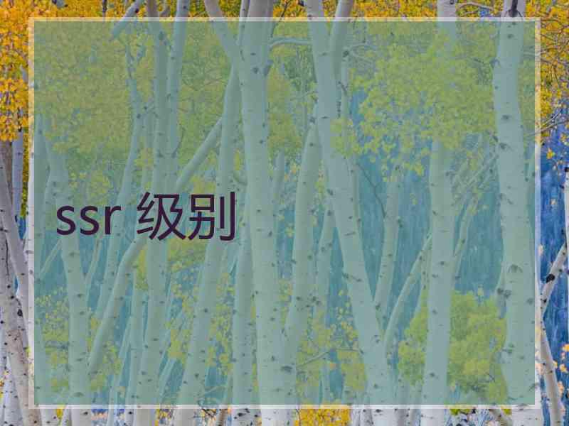 ssr 级别 ssr 级别
