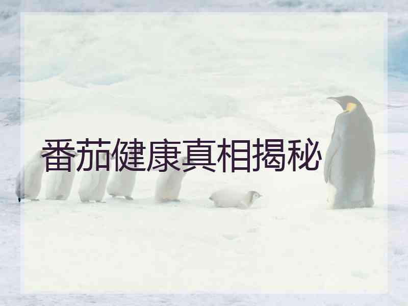 番茄健康真相揭秘 番茄健康真相揭秘