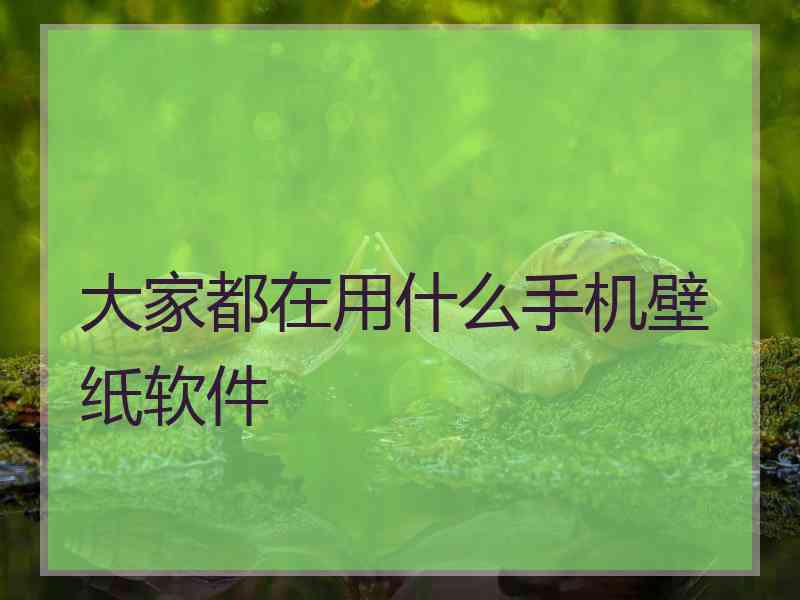 大家都在用什么手机壁纸软件 大家都在用什么手机壁纸软件
