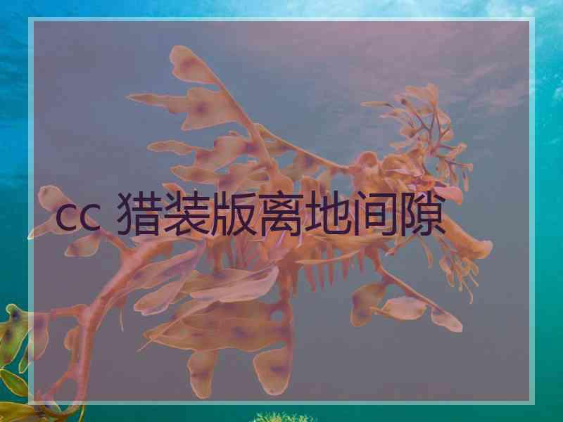 cc 猎装版离地间隙 cc 猎装版离地间隙