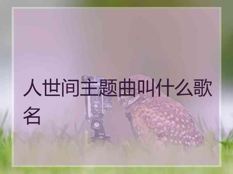 人世间主题曲叫什么歌名 人世间主题曲叫什么歌名