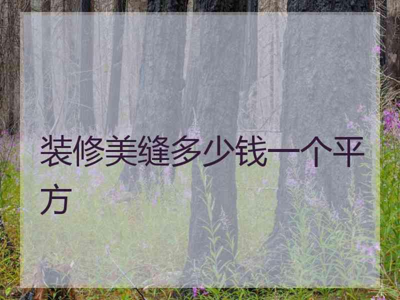 装修美缝多少钱一个平方 装修美缝多少钱一个平方