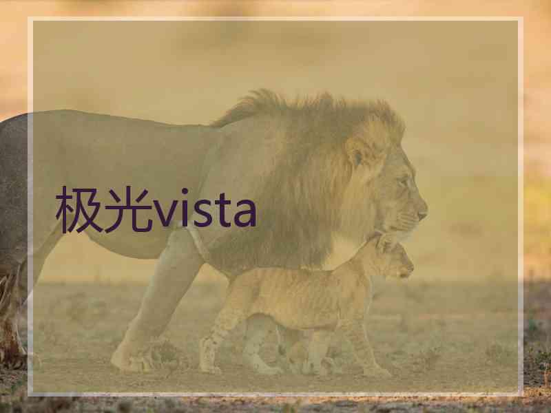 极光vista 极光vista