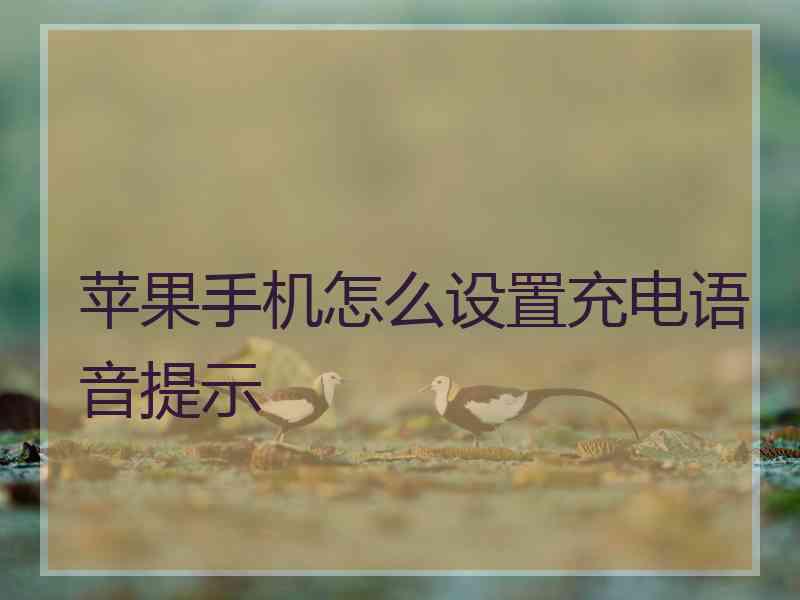 苹果手机怎么设置充电语音提示 苹果手机怎么设置充电语音提示