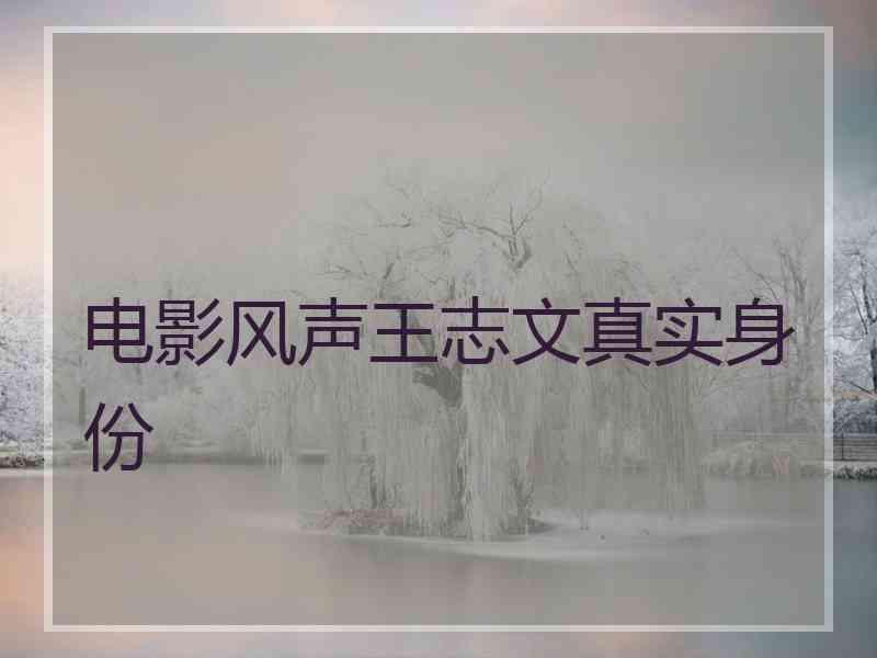 电影风声王志文真实身份 电影风声王志文真实身份