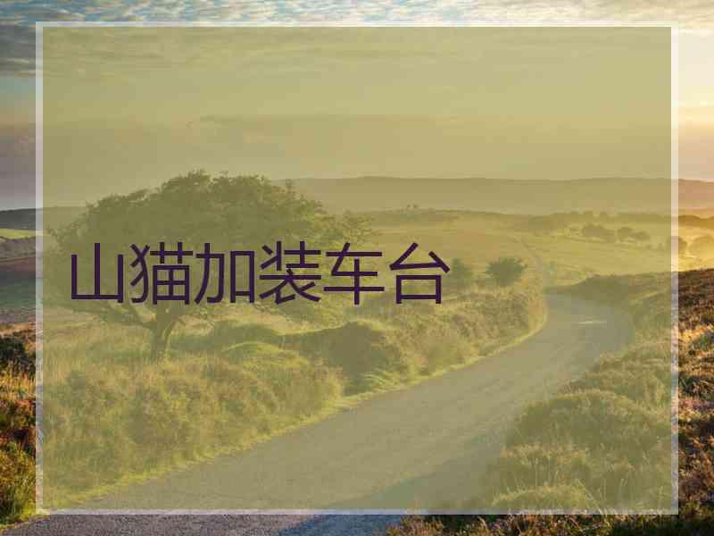 山猫加装车台 山猫加装车台