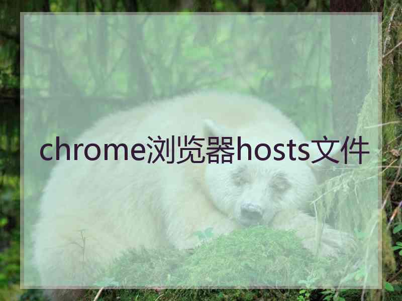 chrome浏览器hosts文件 chrome浏览器hosts文件