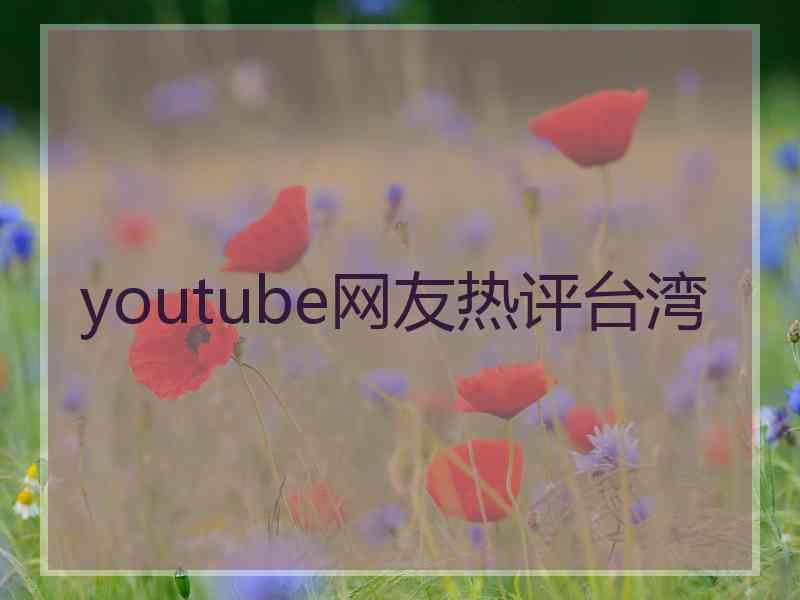 youtube网友热评台湾 youtube网友热评台湾