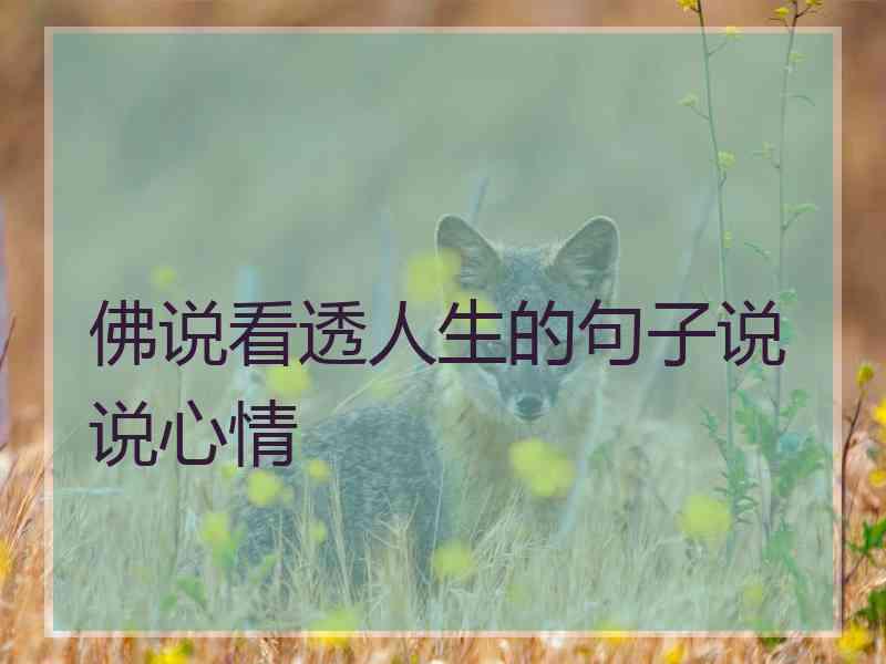 佛说看透人生的句子说说心情 佛说看透人生的句子说说心情
