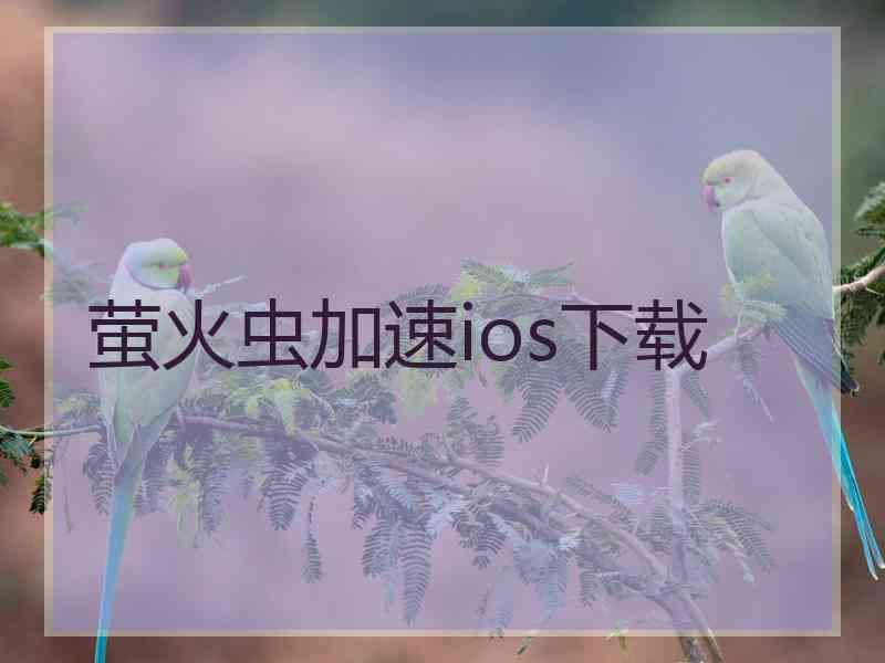 萤火虫加速ios下载 萤火虫加速ios下载