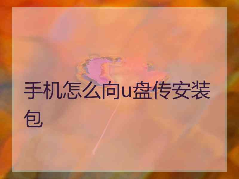 手机怎么向u盘传安装包 手机怎么向u盘传安装包