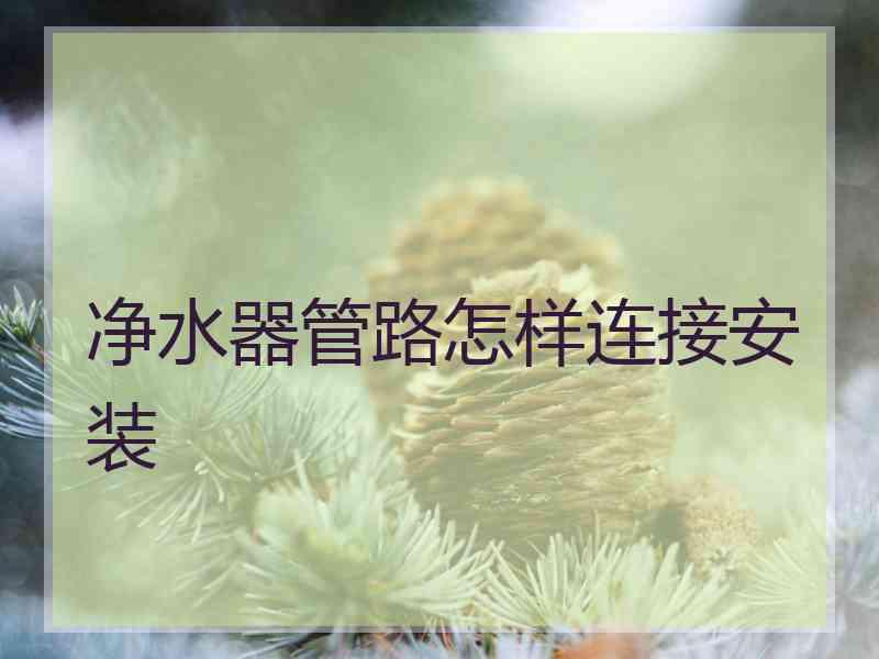 净水器管路怎样连接安装 净水器管路怎样连接安装