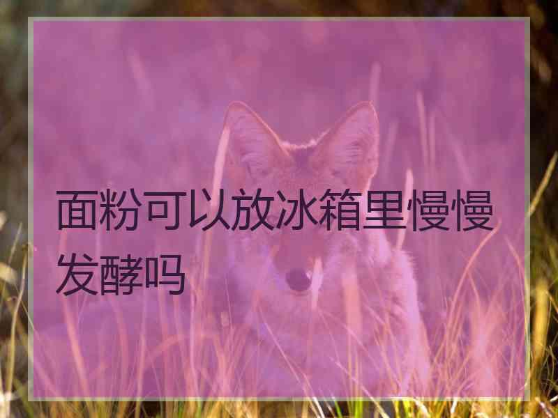 面粉可以放冰箱里慢慢发酵吗 面粉可以放冰箱里慢慢发酵吗