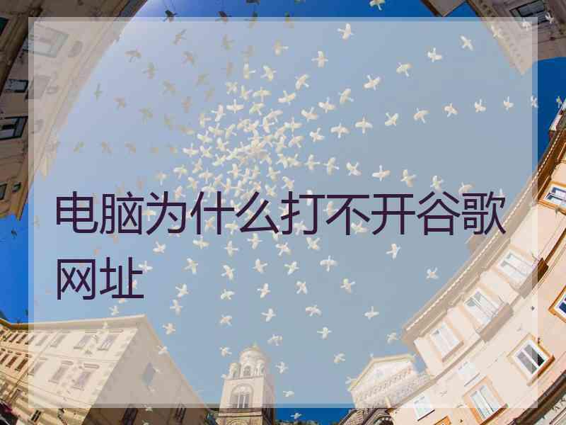 电脑为什么打不开谷歌网址 电脑为什么打不开谷歌网址