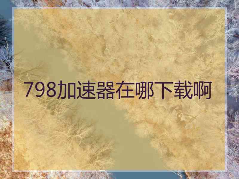 798加速器在哪下载啊 798加速器在哪下载啊