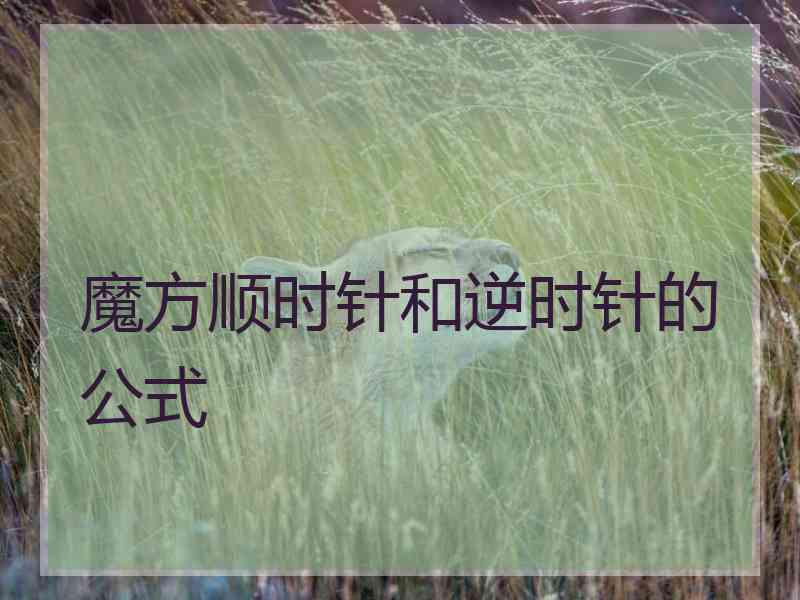 魔方顺时针和逆时针的公式 魔方顺时针和逆时针的公式