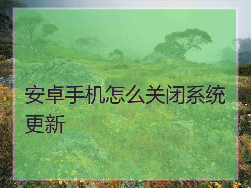安卓手机怎么关闭系统更新 安卓手机怎么关闭系统更新
