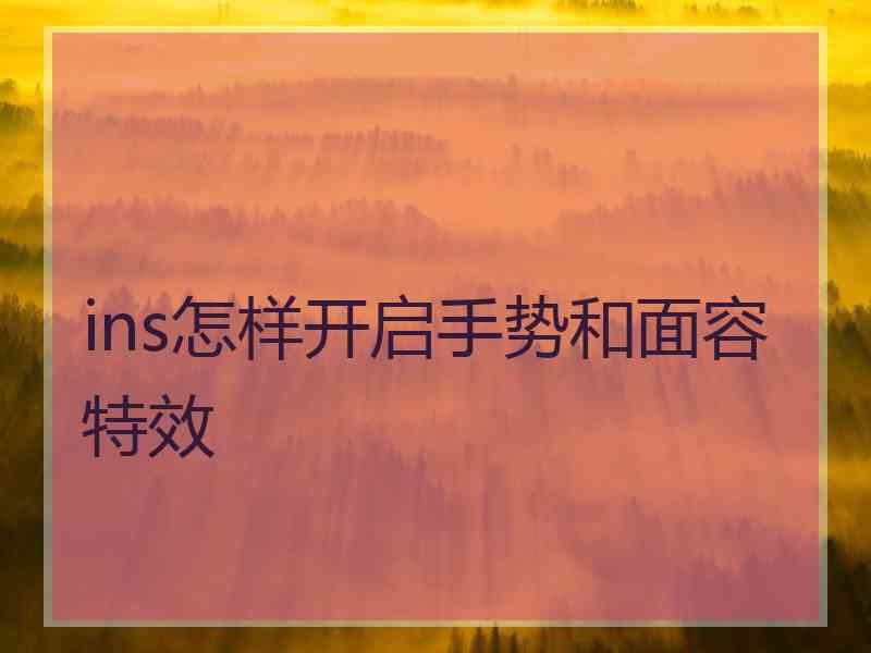 ins怎样开启手势和面容特效 ins怎样开启手势和面容特效