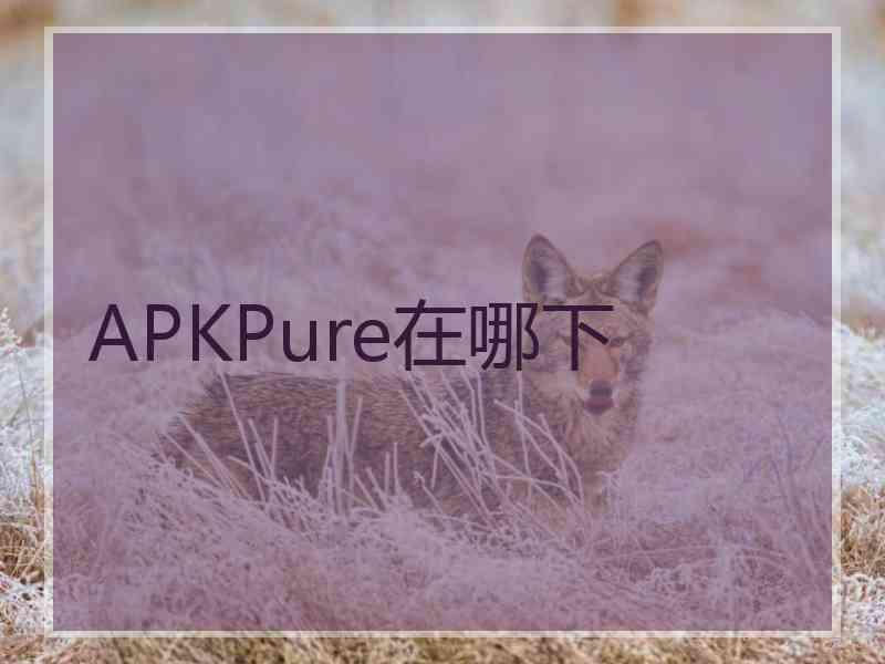 APKPure在哪下 APKPure在哪下