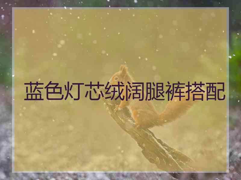 蓝色灯芯绒阔腿裤搭配 蓝色灯芯绒阔腿裤搭配