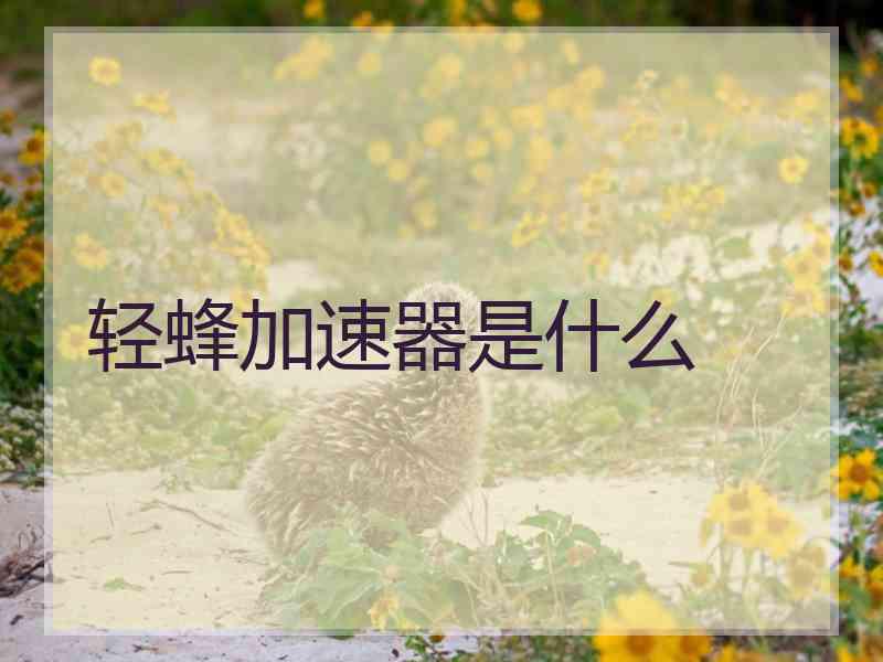 轻蜂加速器是什么 轻蜂加速器是什么