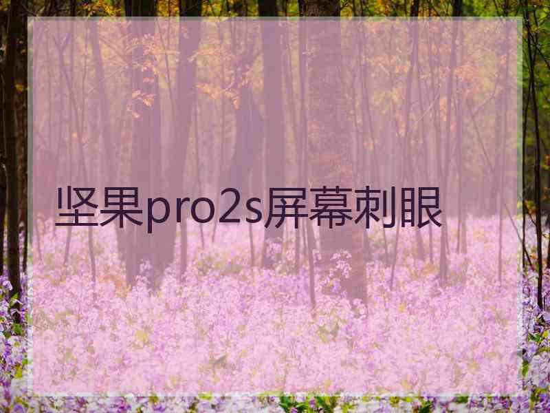 坚果pro2s屏幕刺眼 坚果pro2s屏幕刺眼