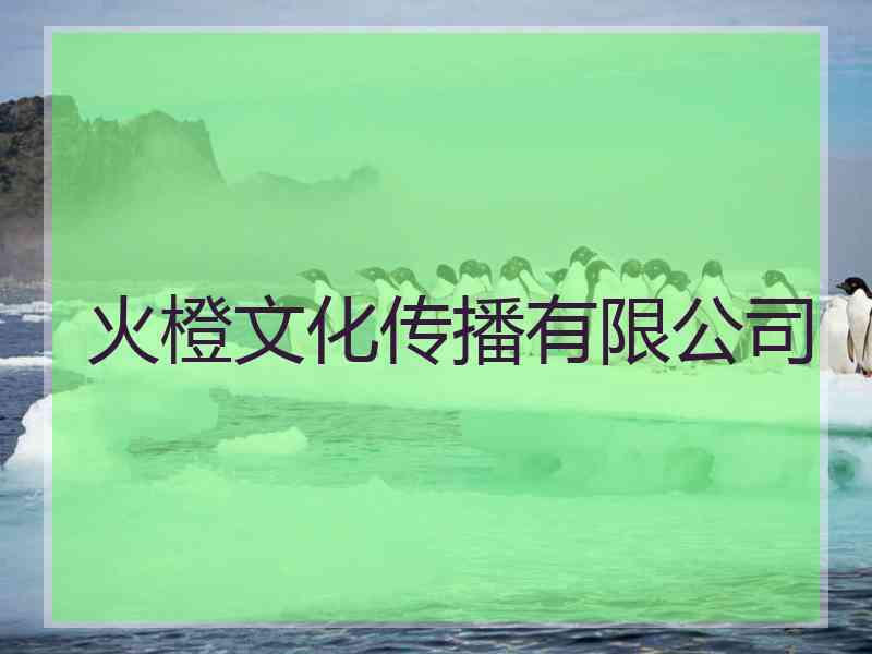 火橙文化传播有限公司 火橙文化传播有限公司