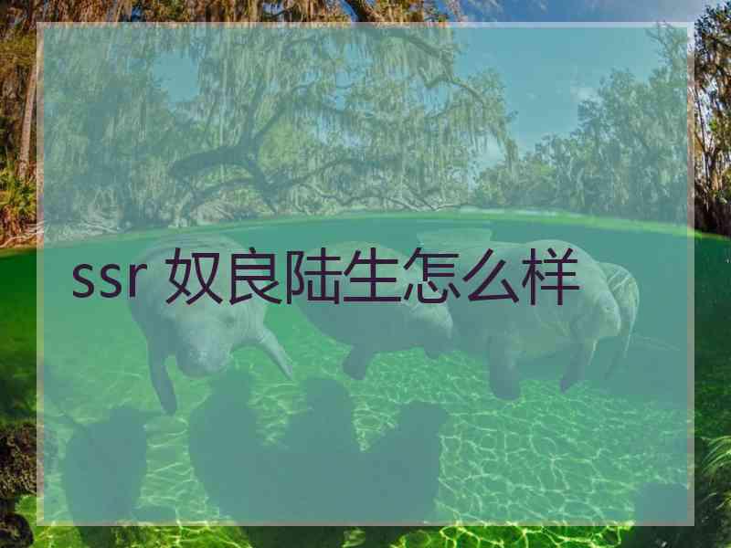 ssr 奴良陆生怎么样 ssr 奴良陆生怎么样