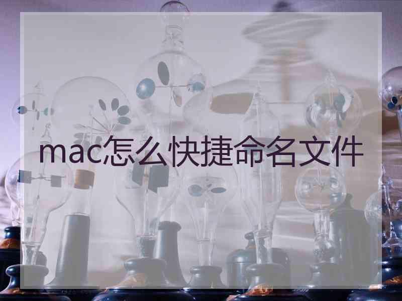 mac怎么快捷命名文件 mac怎么快捷命名文件