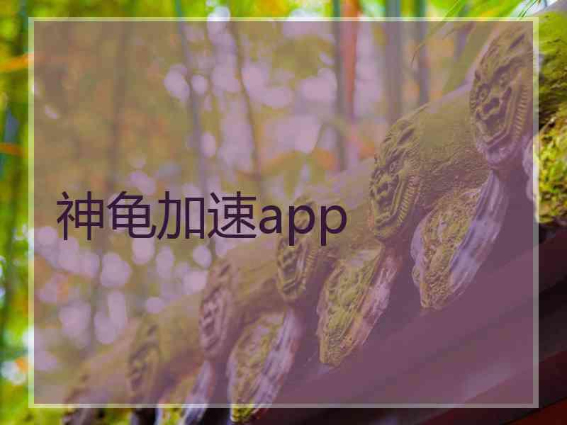 神龟加速app 神龟加速app
