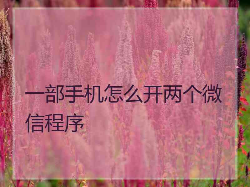 一部手机怎么开两个微信程序 一部手机怎么开两个微信程序