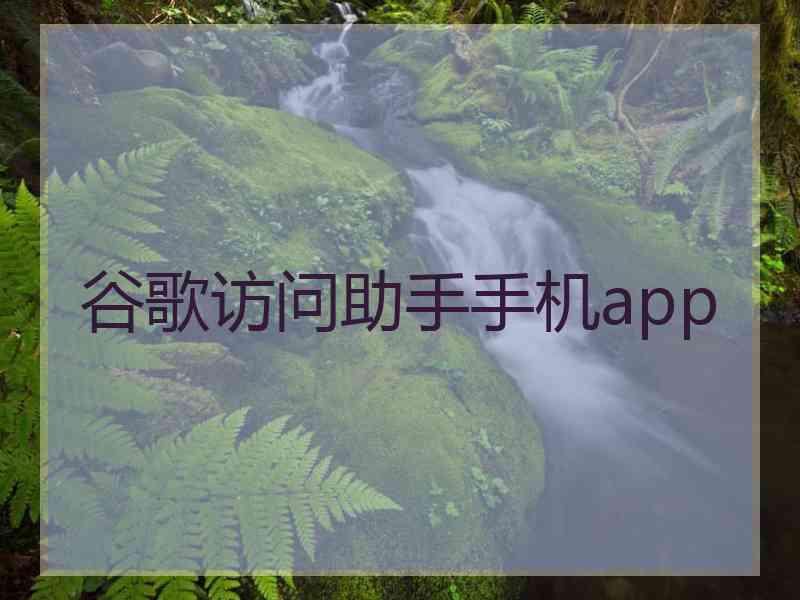 谷歌访问助手手机app 谷歌访问助手手机app