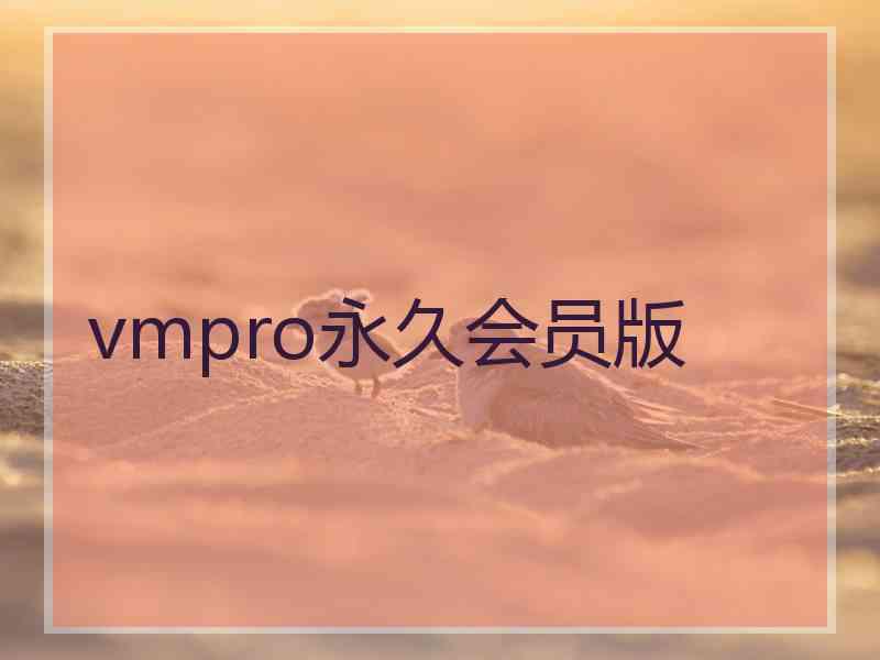 vmpro永久会员版 vmpro永久会员版