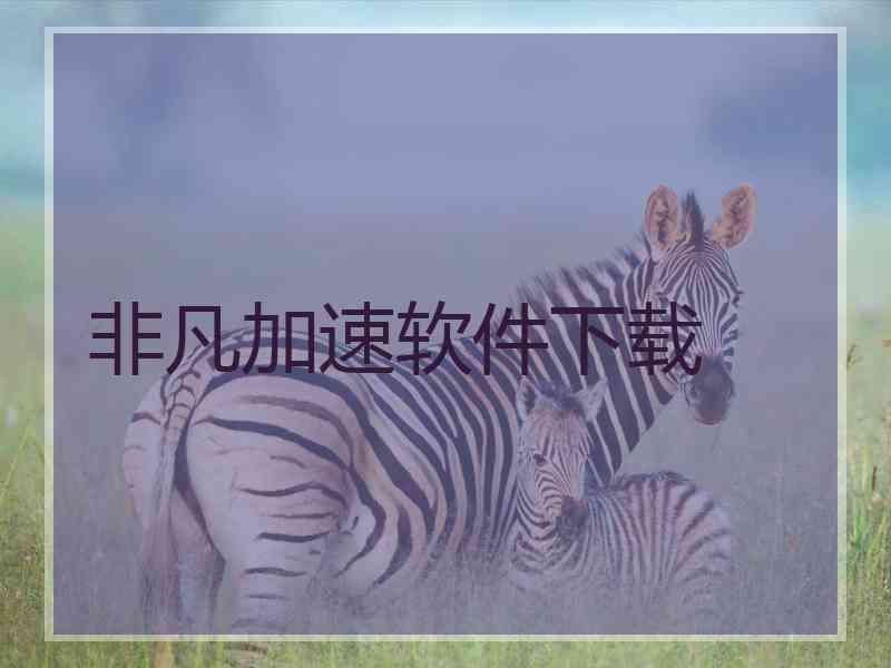 非凡加速软件下载 非凡加速软件下载