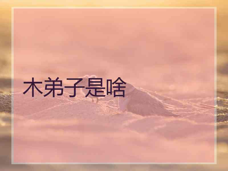 木弟子是啥 木弟子是啥