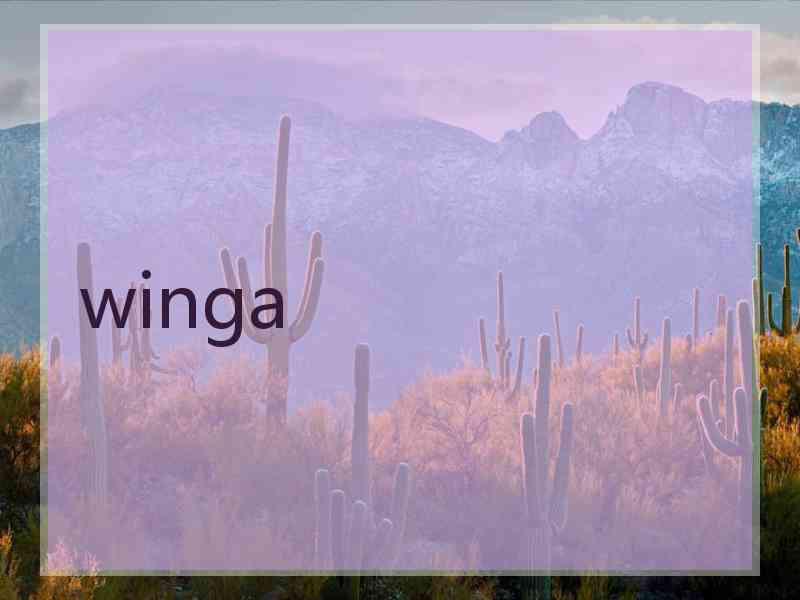winga winga