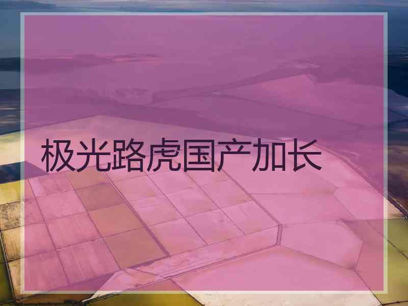 极光路虎国产加长 极光路虎国产加长